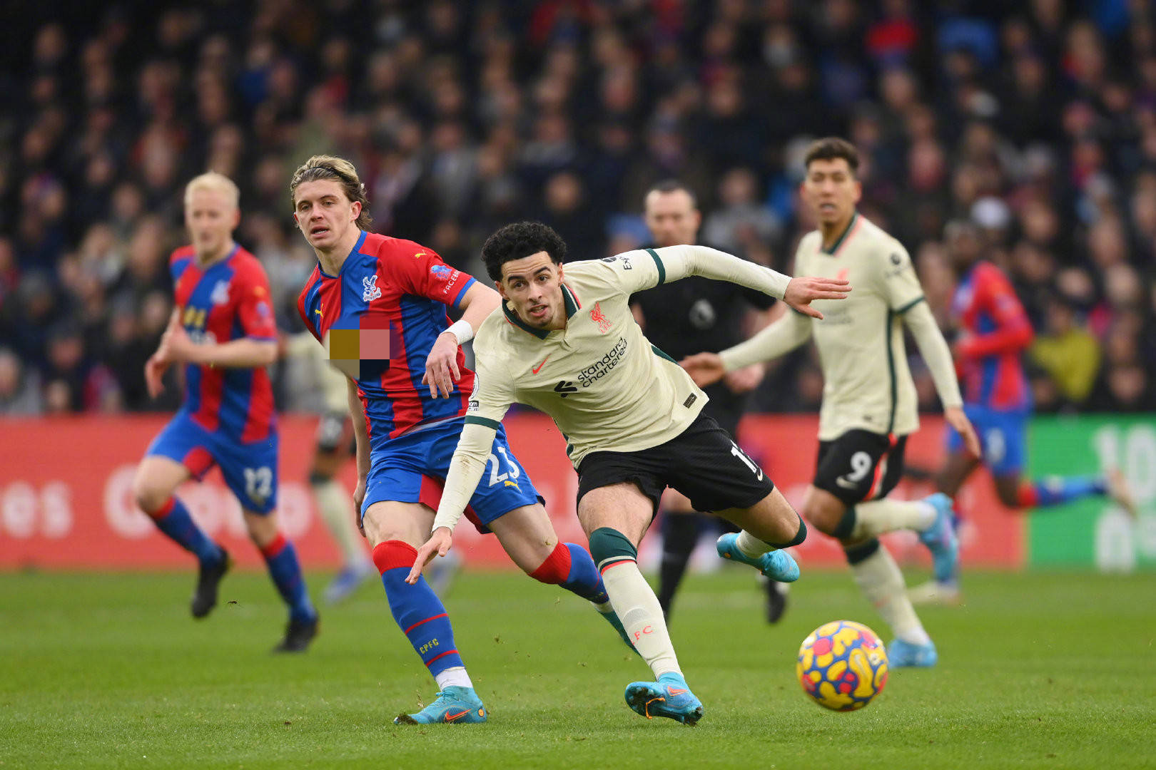 究竟是什么 究竟是什么